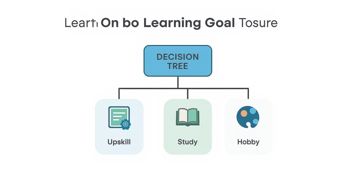 Infographic about online class singapore