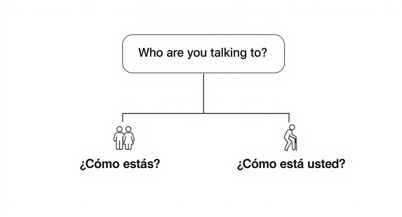 Flowchart demonstrating how to ask 'How are you?' in Spanish, distinguishing between informal '¿Cómo estás?' and formal '¿Cómo está usted?'.