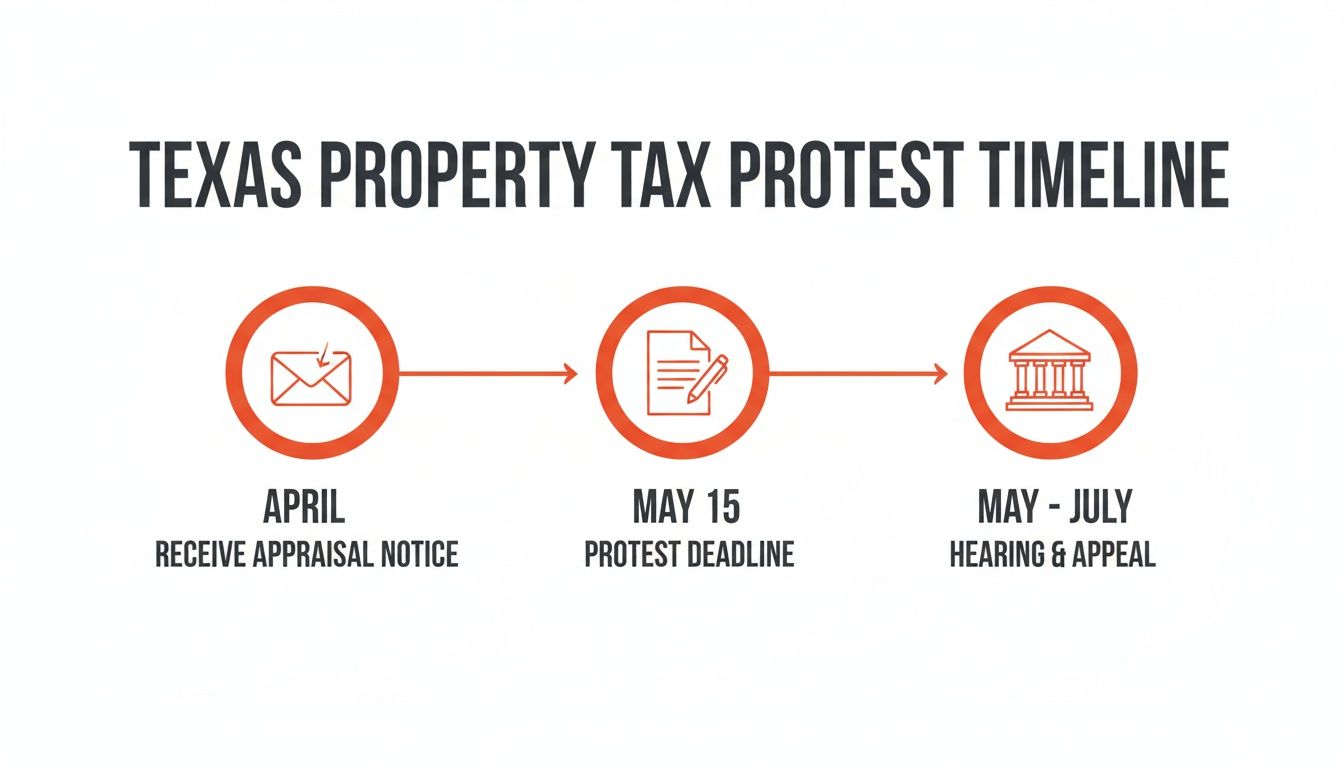 Timeline for Texas property tax protest, showing steps from receiving appraisal notice in April to hearing and appeal in May-July.