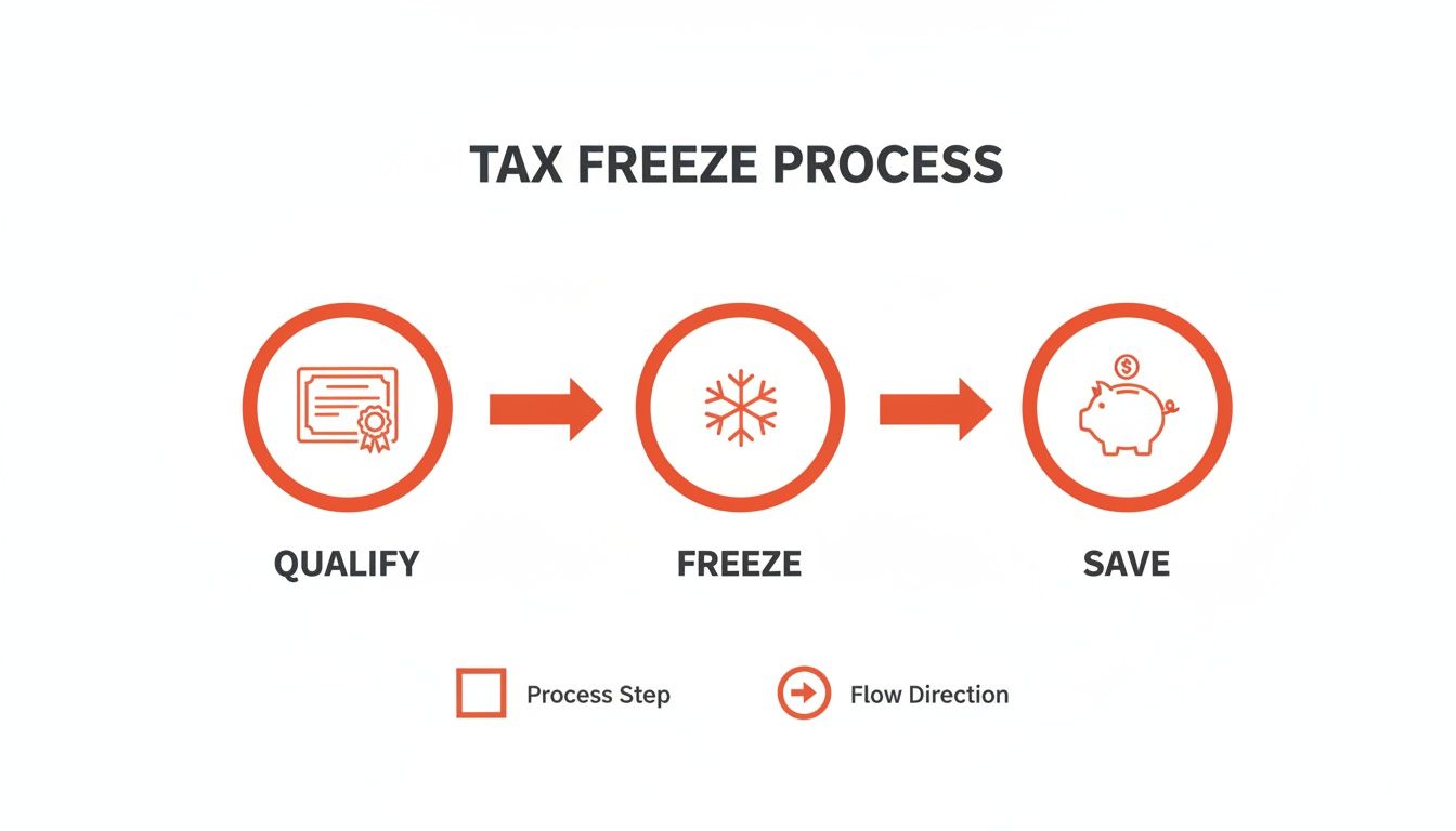 Flowchart outlining the three-step Tax Freeze Process: Qualify, Freeze, and Save money.