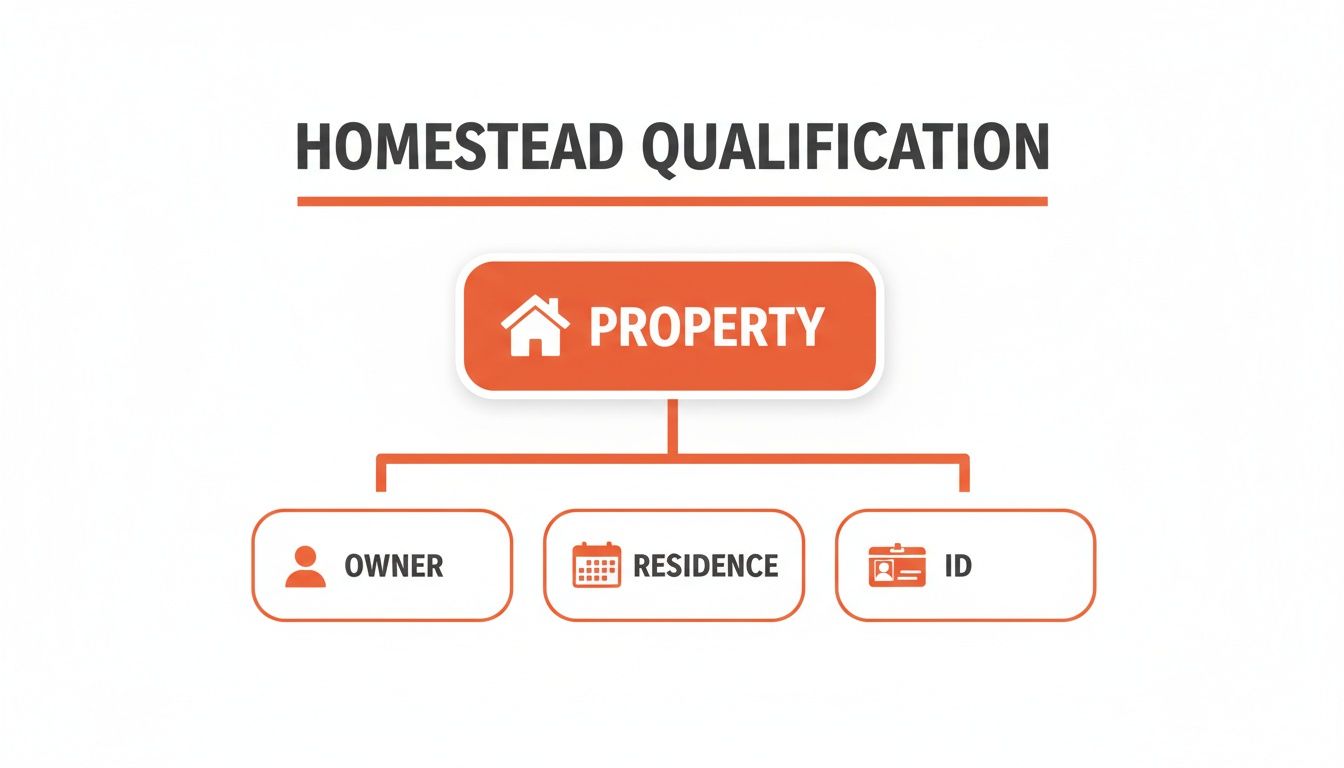 Flowchart illustrating homestead qualification requirements, including property, owner, residence, and ID.