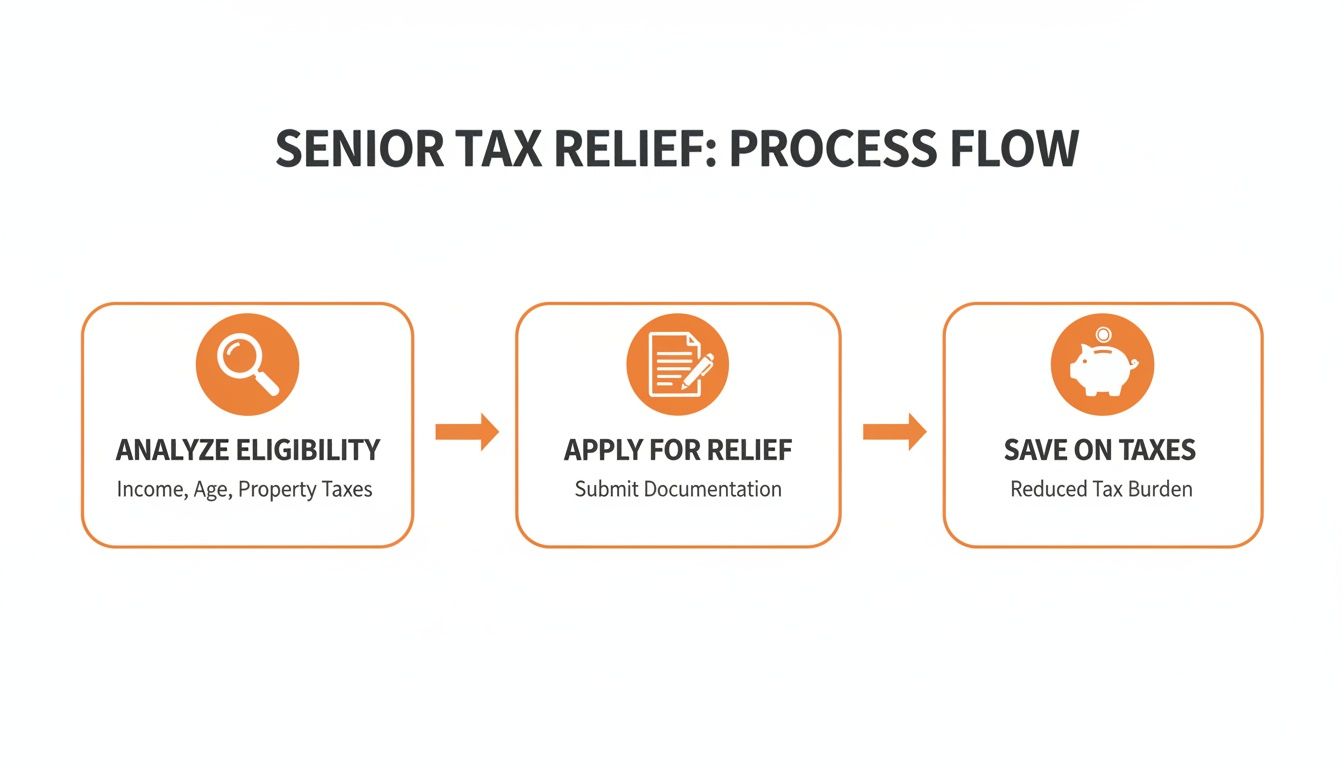 A three-step process flow for senior tax relief, detailing eligibility analysis, application, and tax savings.