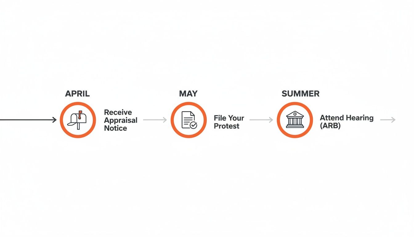 A timeline illustrating the property tax protest process: receive appraisal notice in April, file protest in May, and attend hearing in Summer.