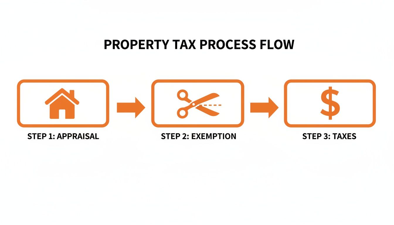 A property tax process flow chart with three steps: appraisal, exemption, and taxes.