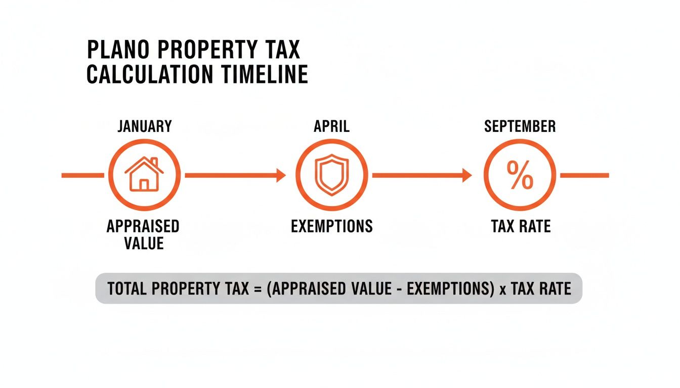 A timeline depicting Plano property tax calculation steps: Appraised Value, Exemptions, and Tax Rate.
