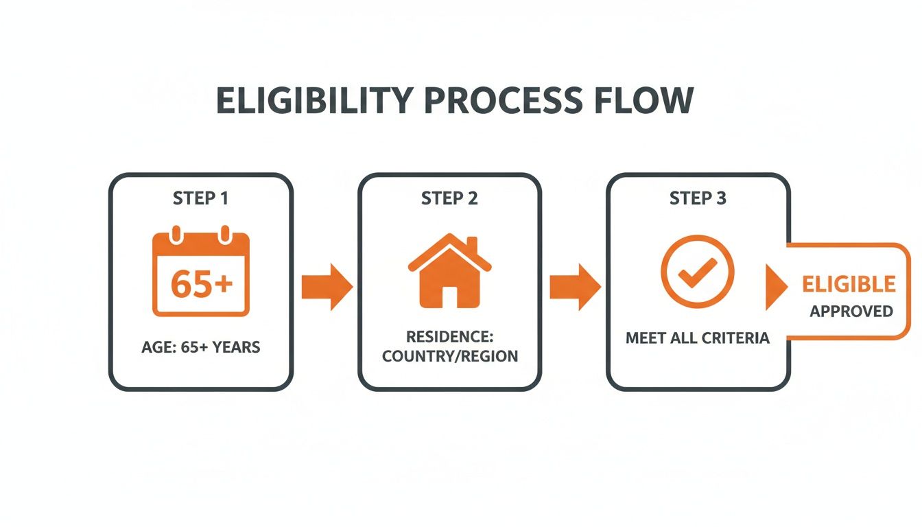 Eligibility process flow showing three steps: age 65+, residence, and meeting criteria, leading to approval.