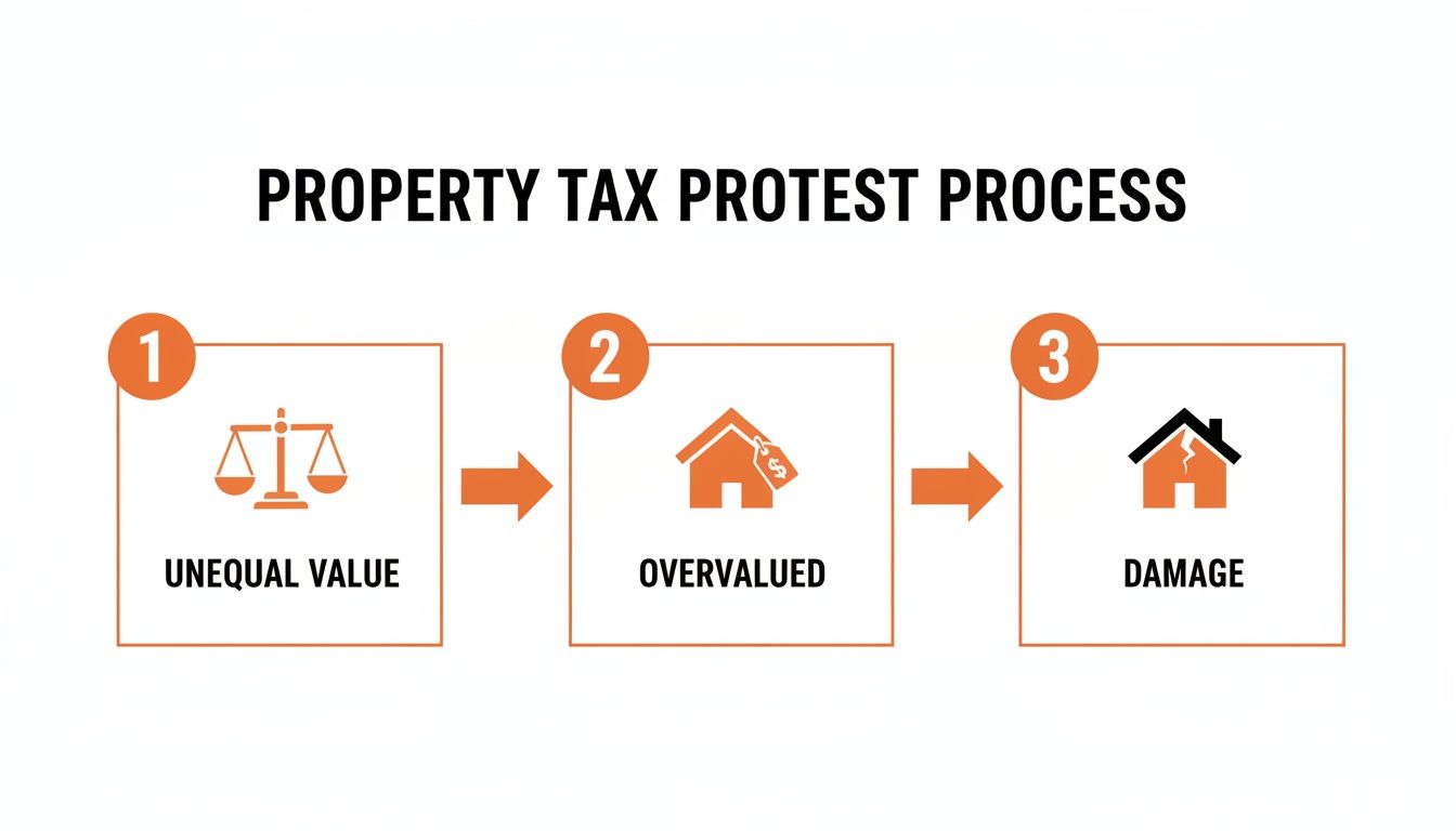 A flowchart illustrates the property tax protest process with steps: unequal value, overvalued, and damage.