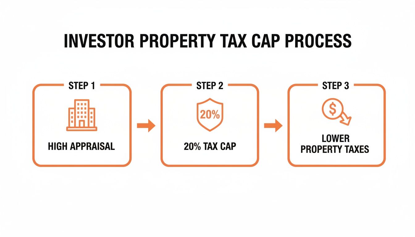 Process for investor property tax cap: high appraisal, 20% tax cap, leading to lower property taxes.