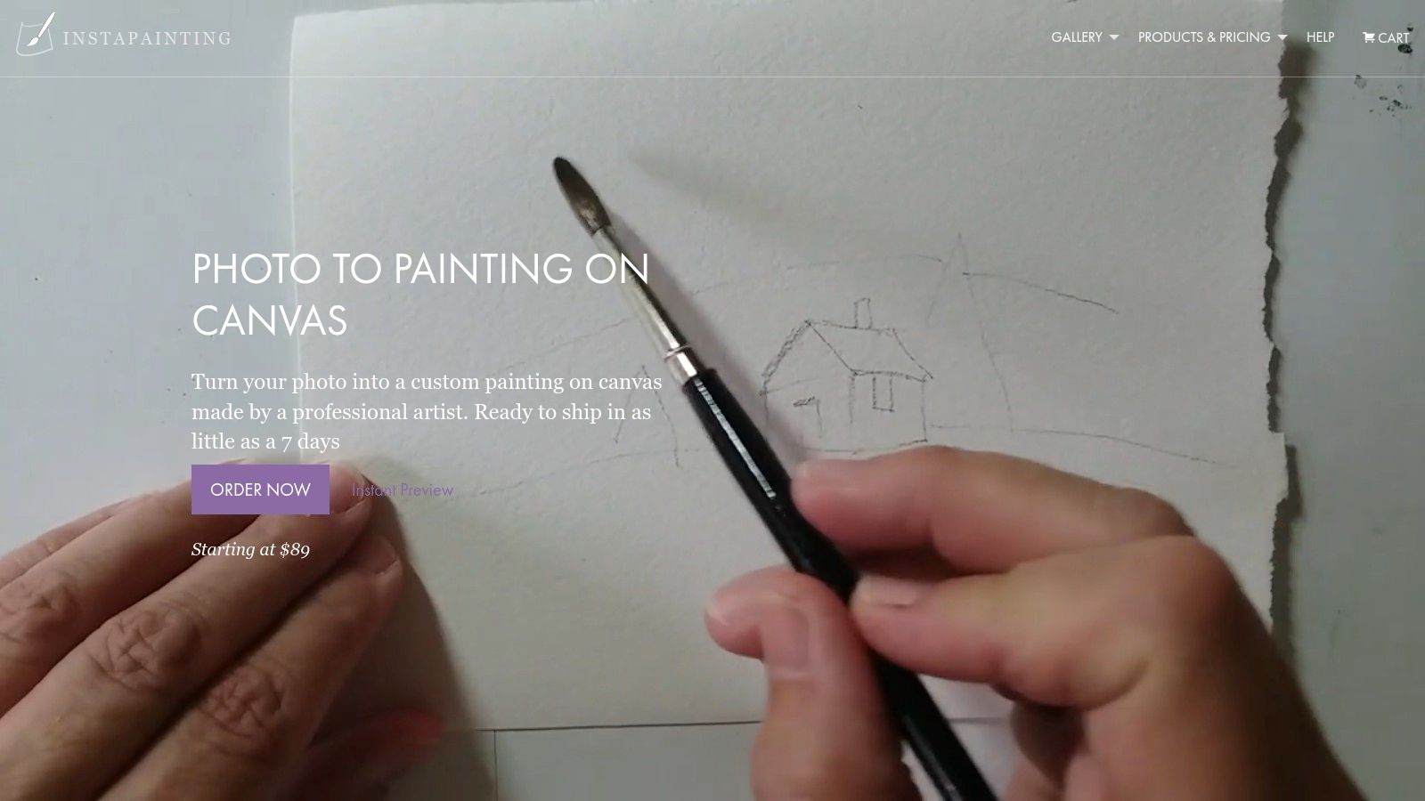 Instapainting website interface showing custom painting options and pricing.