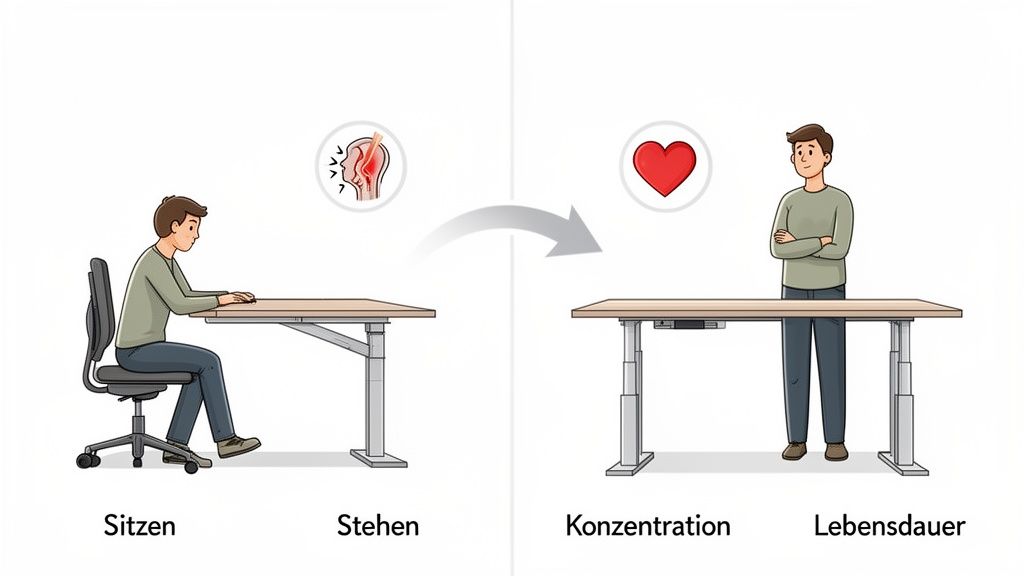 Vergleich zwischen Sitzen und Stehen am Schreibtisch. Sitzen kann Schmerzen verursachen, Stehen fördert Konzentration und Gesundheit.