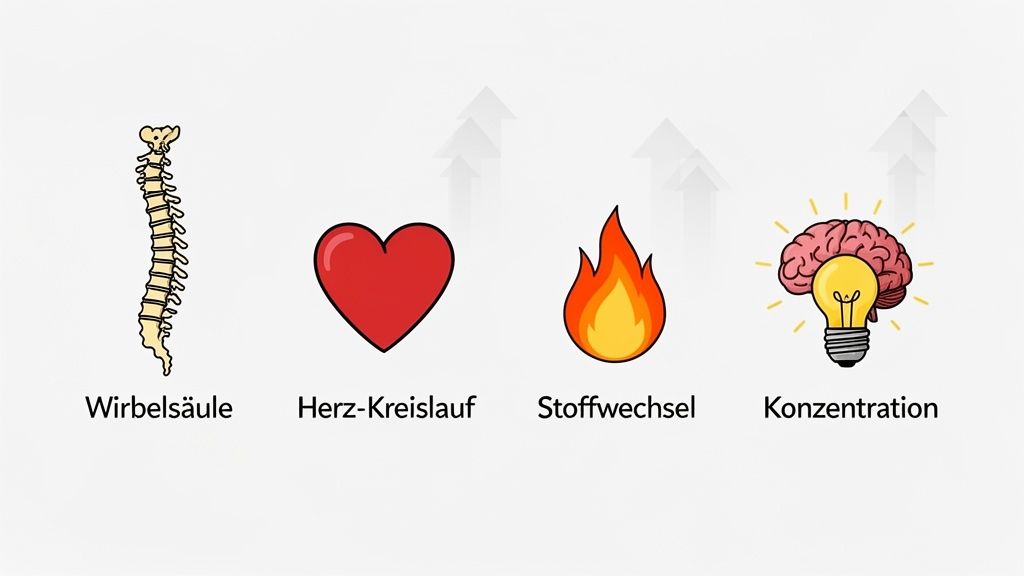 Vier Symbole: Wirbelsäule, Herz, Flamme, Gehirn mit Glühbirne, symbolisieren gesundheitliche Vorteile und verbesserte Konzentration.