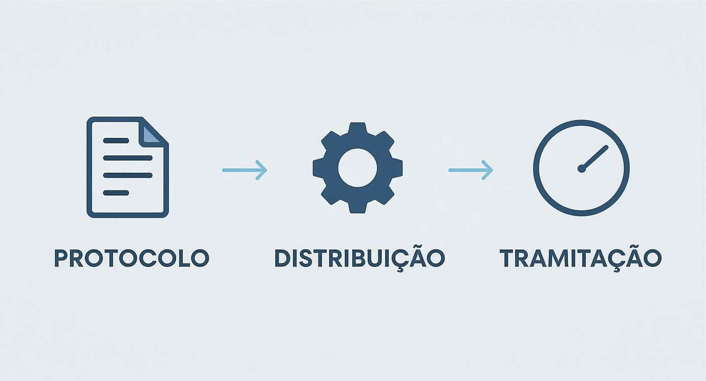 Infographic about quanto tempo demora a distribuição de um processo