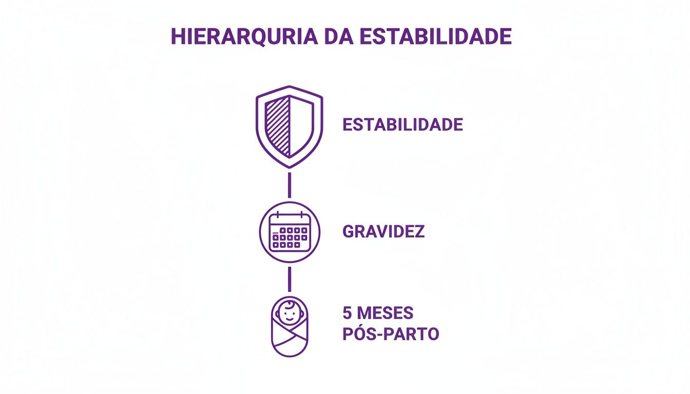 Fui Demitida Grávida, Quanto Devo Receber? Guia Completo 2024 2 Infográfico: Hierarquia da estabilidade no emprego, incluindo gravidez e licença maternidade de 5 meses.