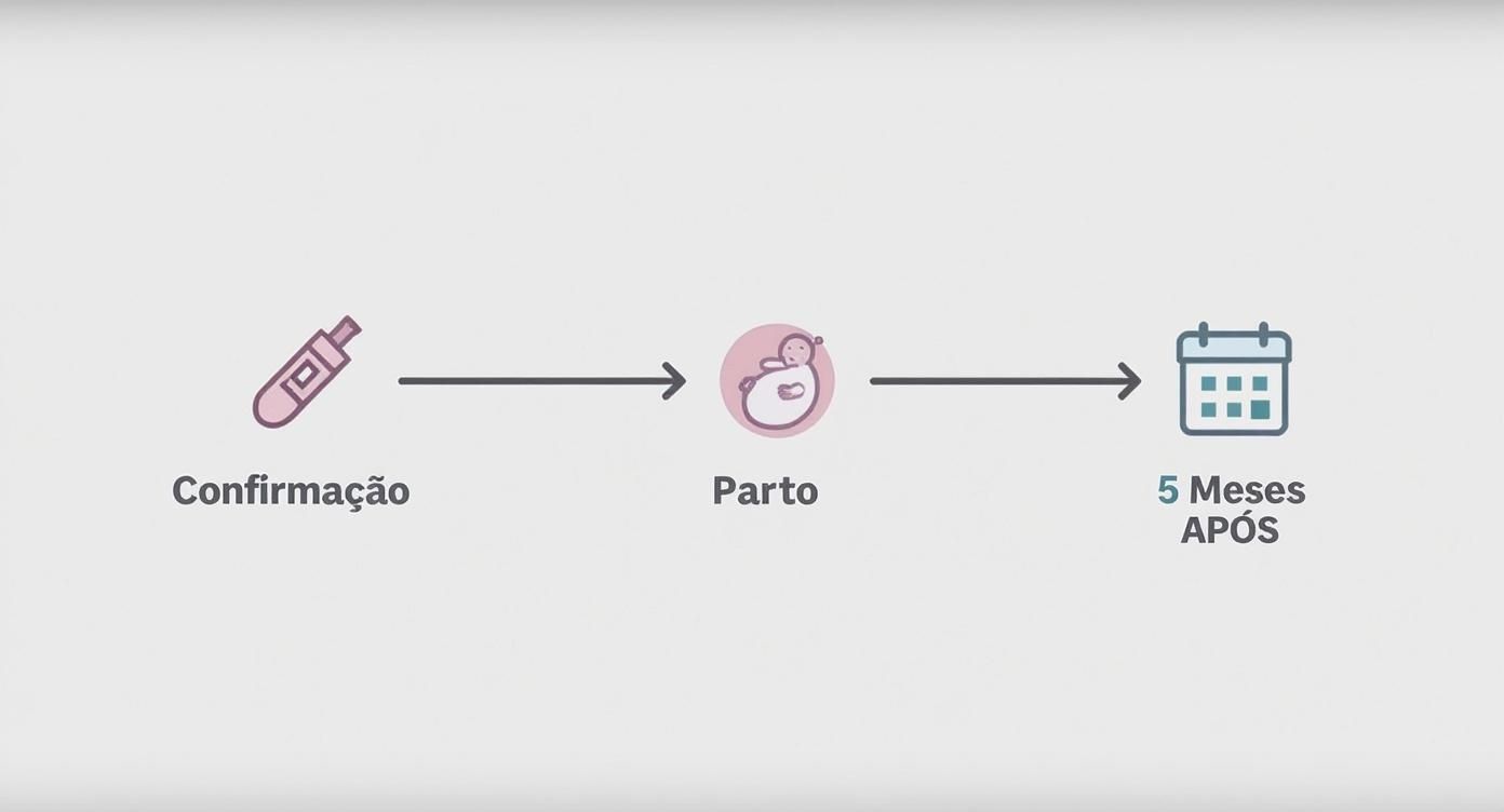 Direito Trabalhista de Gestante: Guia Completo 2024 2 Infográfico sobre direito trabalhista de gestante