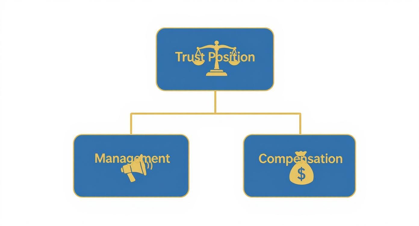 Diagrama hierárquico mostrando cargo de confiança com gestão e compensação como elementos principais