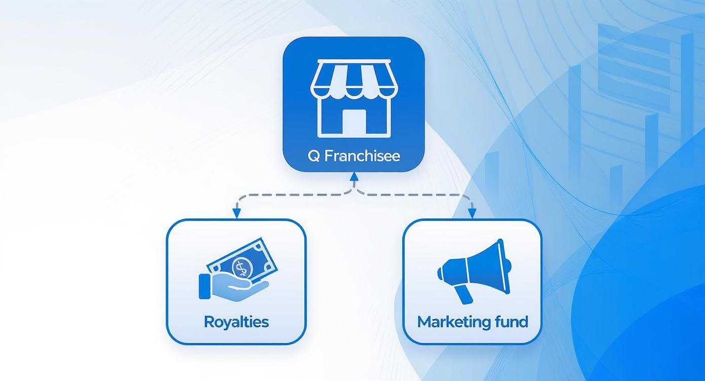 Valores de Franquias: Guia Completo Para o Investimento Certo 3 Infographic about valores de franquias