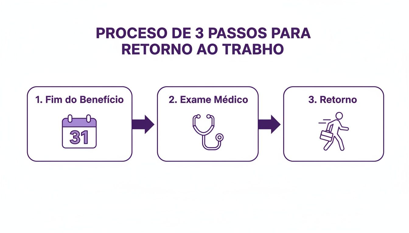 Prazo Para Retorno ao Trabalho Após Auxílio Doença: Guia Completo 2024 1 Infográfico detalhando o processo de 3 passos para retorno ao trabalho: fim do benefício, exame médico e retorno.