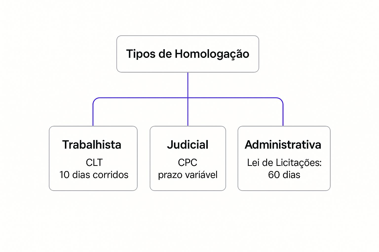 Infográfico sobre prazo para homologação