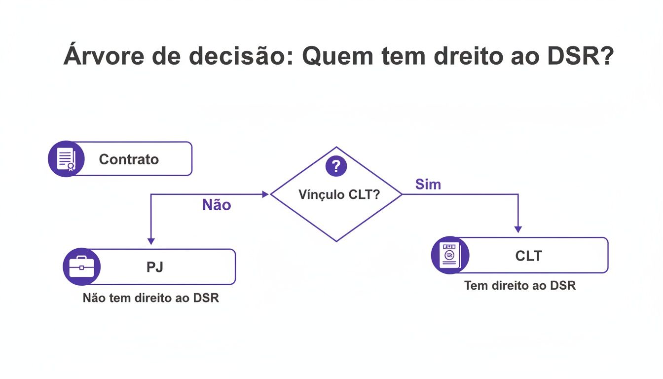 Descanso Semanal Remunerado CLT: Guia Completo 2024 1 Árvore de decisão detalhando a elegibilidade para o Descanso Semanal Remunerado (DSR) via contrato CLT ou PJ.
