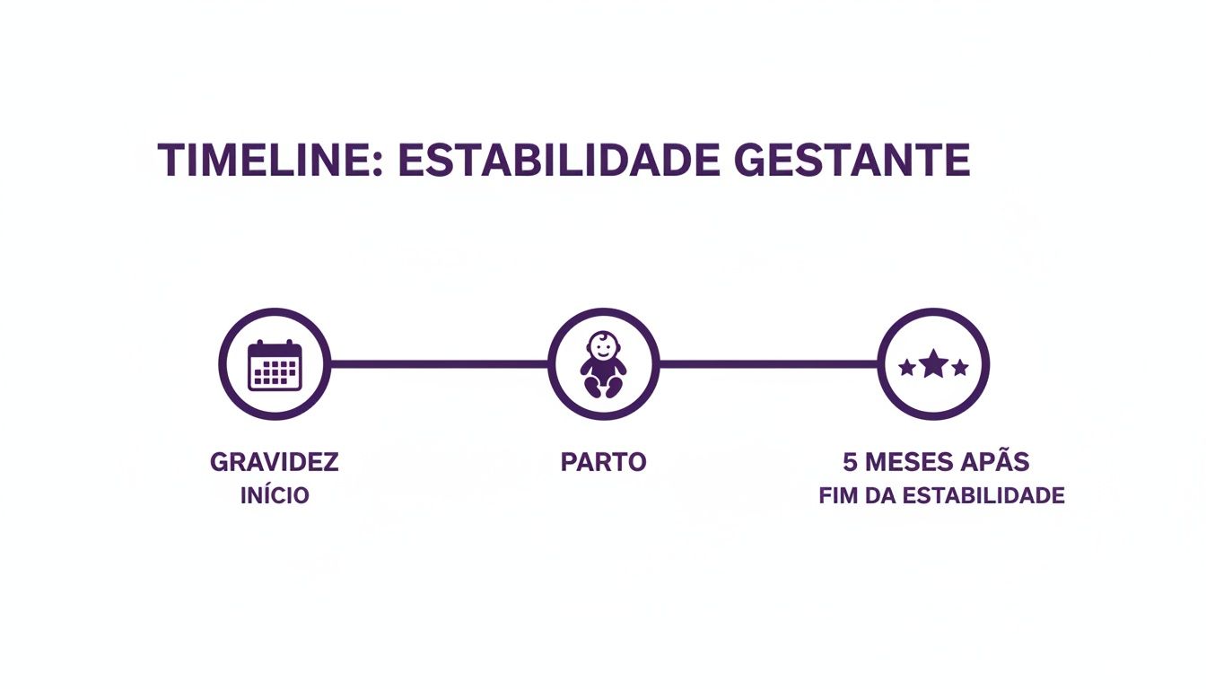 Linha do tempo visual sobre a estabilidade gestante, ilustrando o início da gravidez, o parto e o período de 5 meses após o fim da estabilidade.