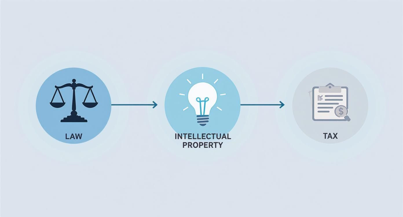 Infográfico mostrando o processo de atuação de um advogado especialista em franquias, com ícones para Lei, Propriedade Intelectual e Tributário.