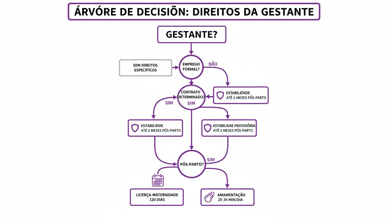 Lei para Gestantes no Trabalho: Guia Completo 2024 1 Árvore de decisão detalhada sobre os direitos da gestante no trabalho, cobrindo estabilidade, licença-maternidade e amamentação.