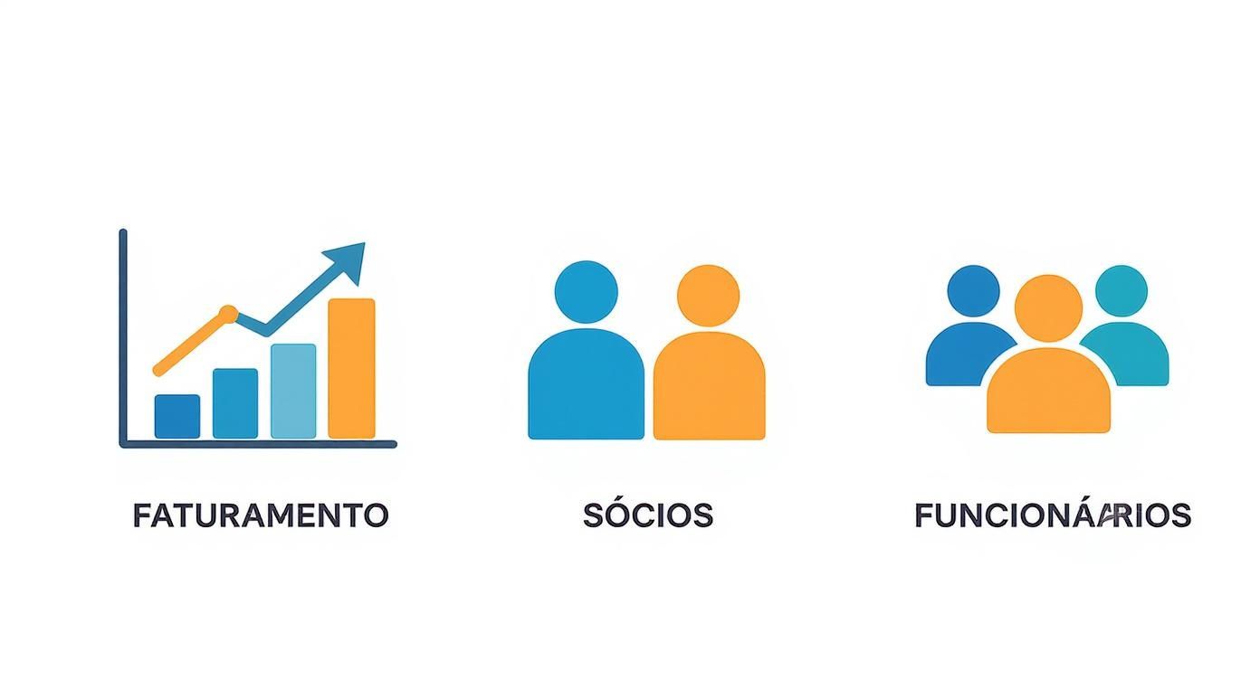 Diferença entre MEI e LTDA: Qual a Melhor Opção para Você? 3 Infográfico mostrando uma árvore de decisão para escolher entre MEI e LTDA, com ícones para faturamento, sócios e funcionários.