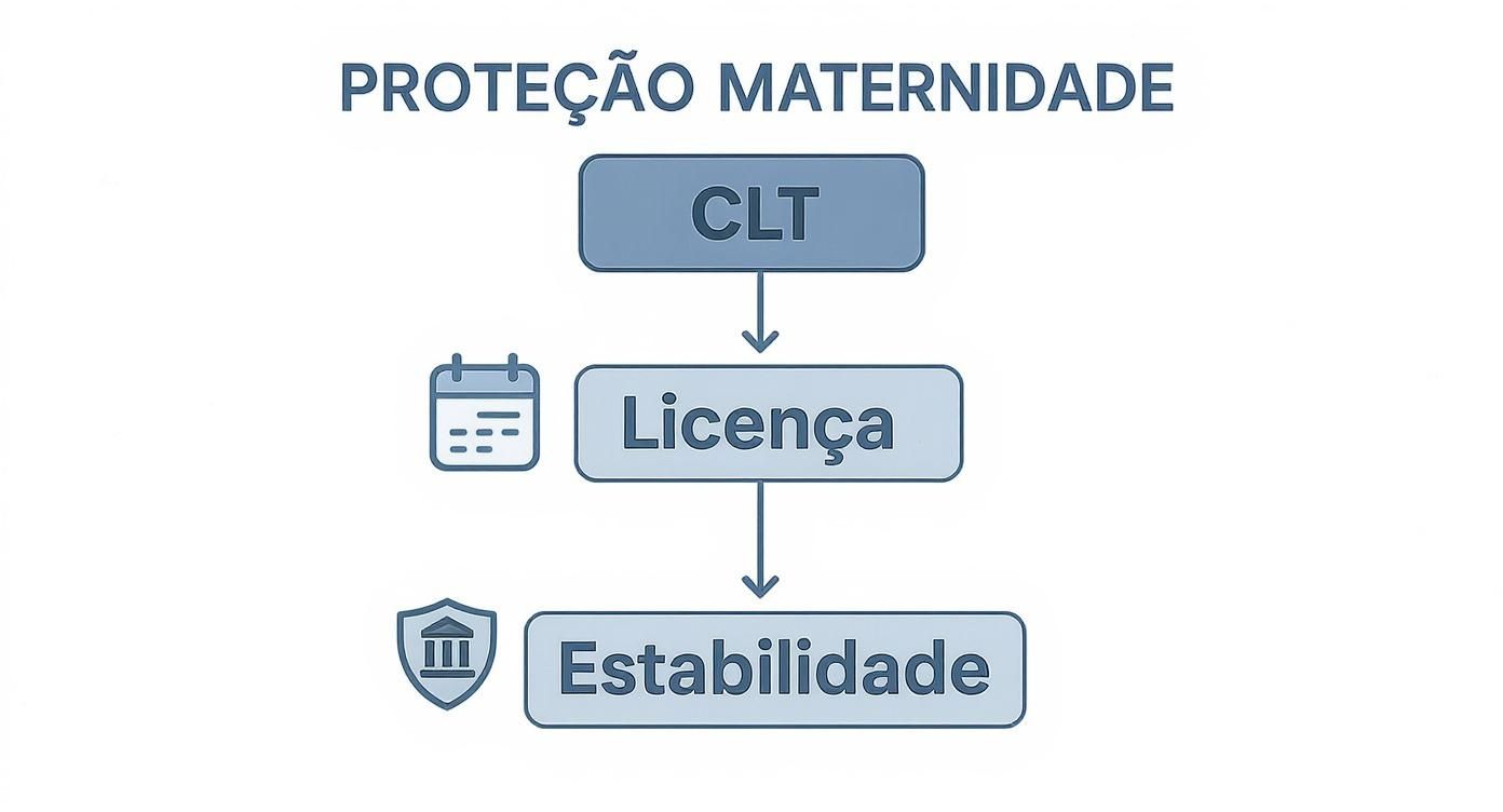 Infográfico sobre clt licença-maternidade estabilidade