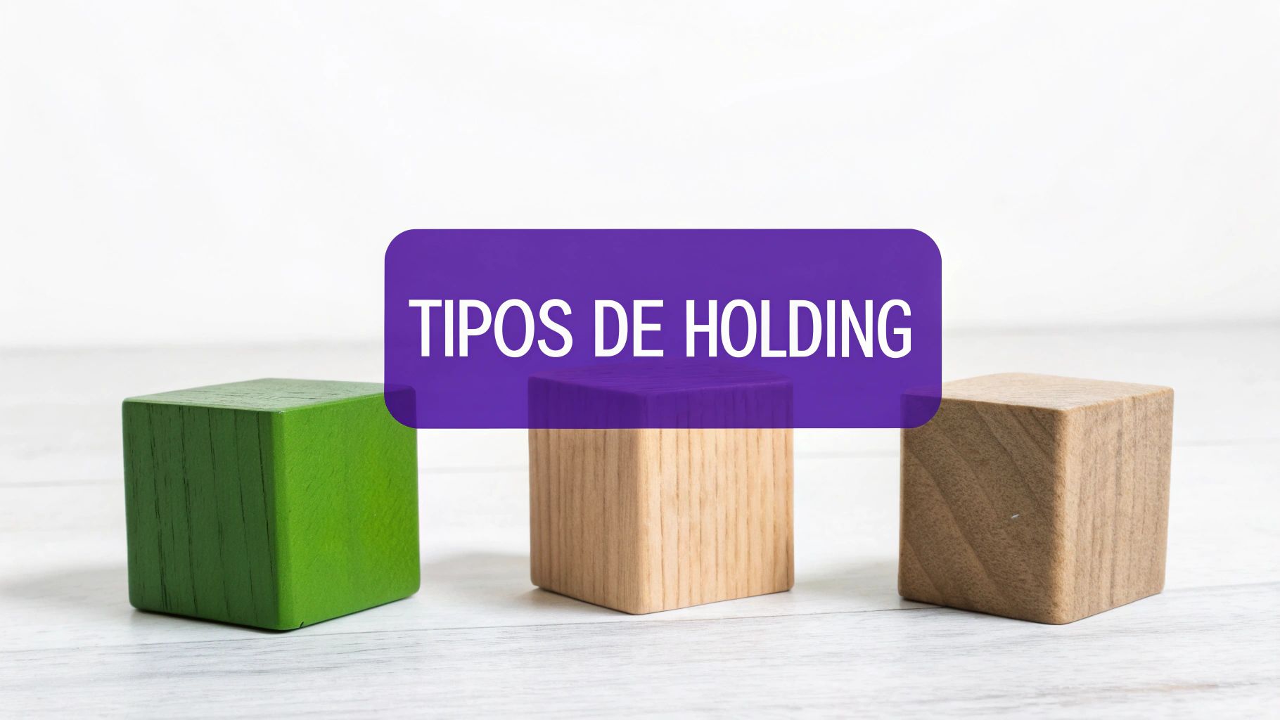 Três blocos de madeira coloridos em uma superfície branca, com um banner roxo exibindo o texto 'TIPOS DE HOLDING'.
