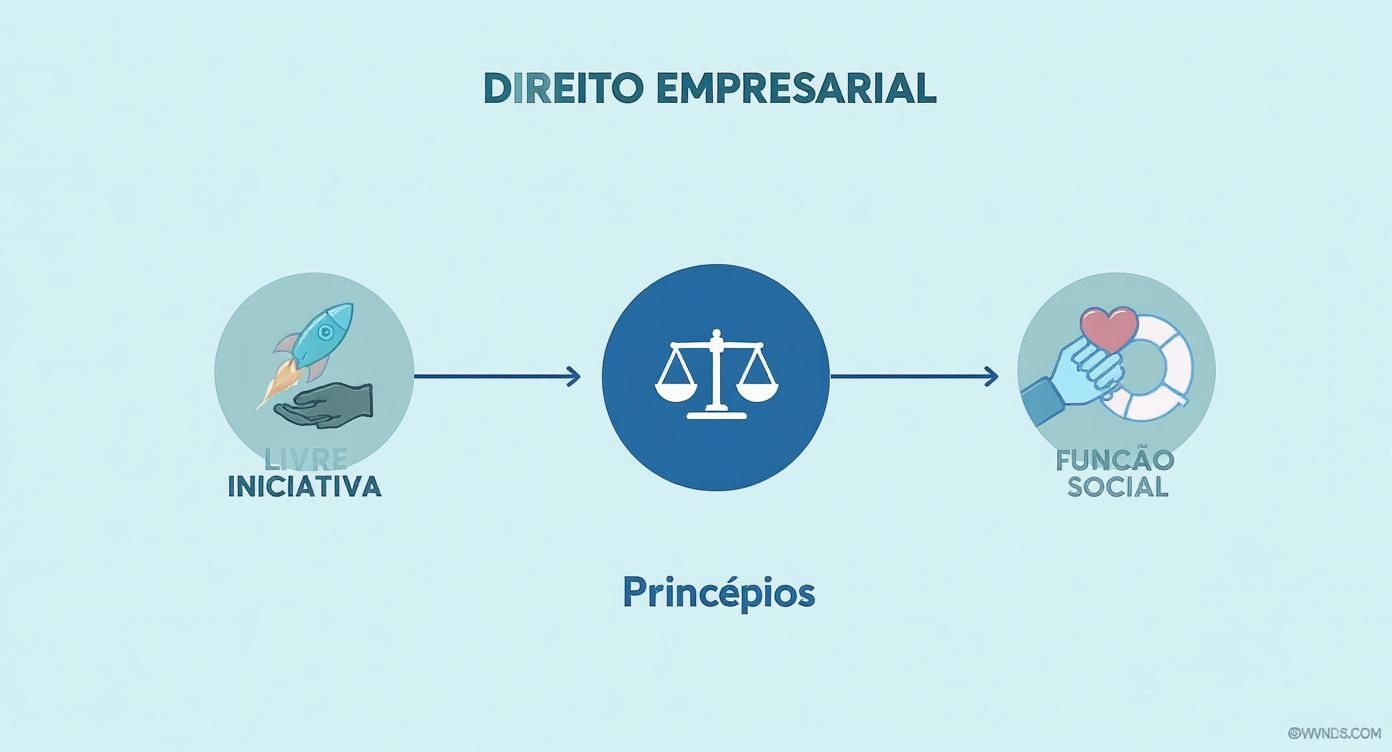 Direito Empresarial Conceito: Guia Essencial Para Seu Negócio 2 Infográfico mostrando os princípios do direito empresarial, com um ícone central de balança para Princípios, e círculos radiantes para Livre Iniciativa, Função Social e Preservação da Empresa.