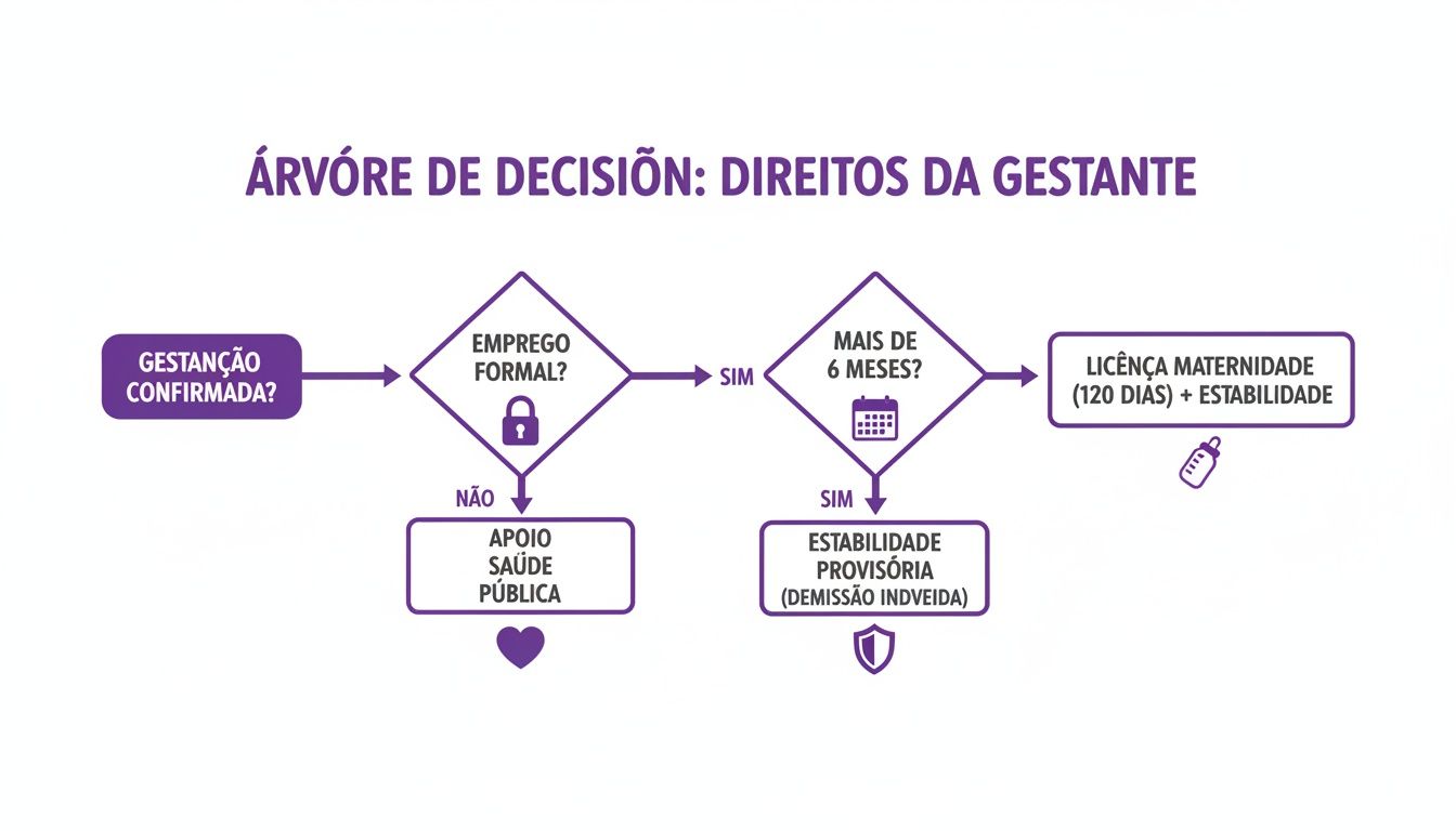 Fluxograma sobre os direitos da gestante no Brasil: licença maternidade, estabilidade e apoio à saúde pública.