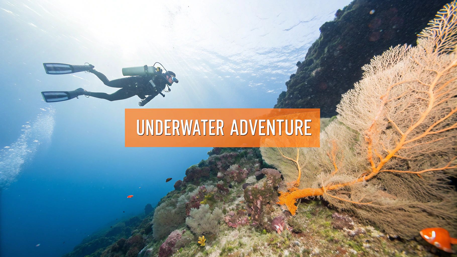 A diver explores vibrant coral reefs with a large orange sea fan and clownfish under clear blue water.