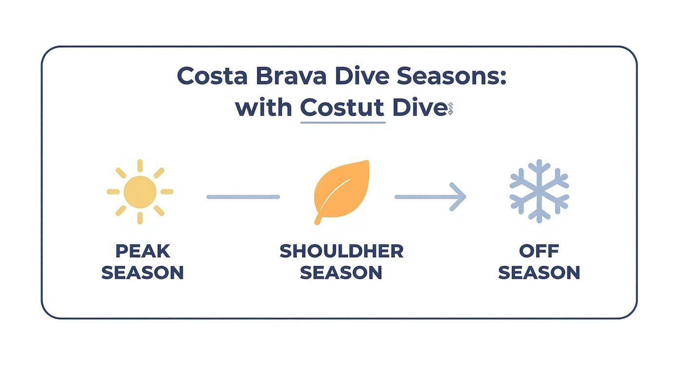 Infographic illustrating Costa Brava scuba diving seasons: Peak, Shoulder, and Off Season, with seasonal icons.