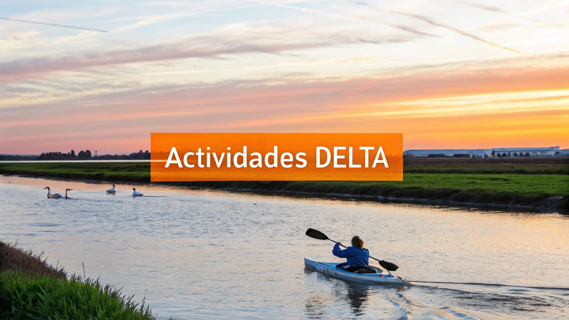 Persona navegando en kayak al atardecer por canales del Delta del Ebro con cisnes y campos verdes