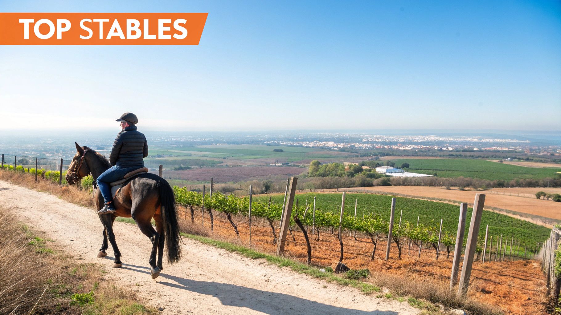 Person riding a horse on a dirt path overlooking a vineyard and distant city landscape under blue sky.