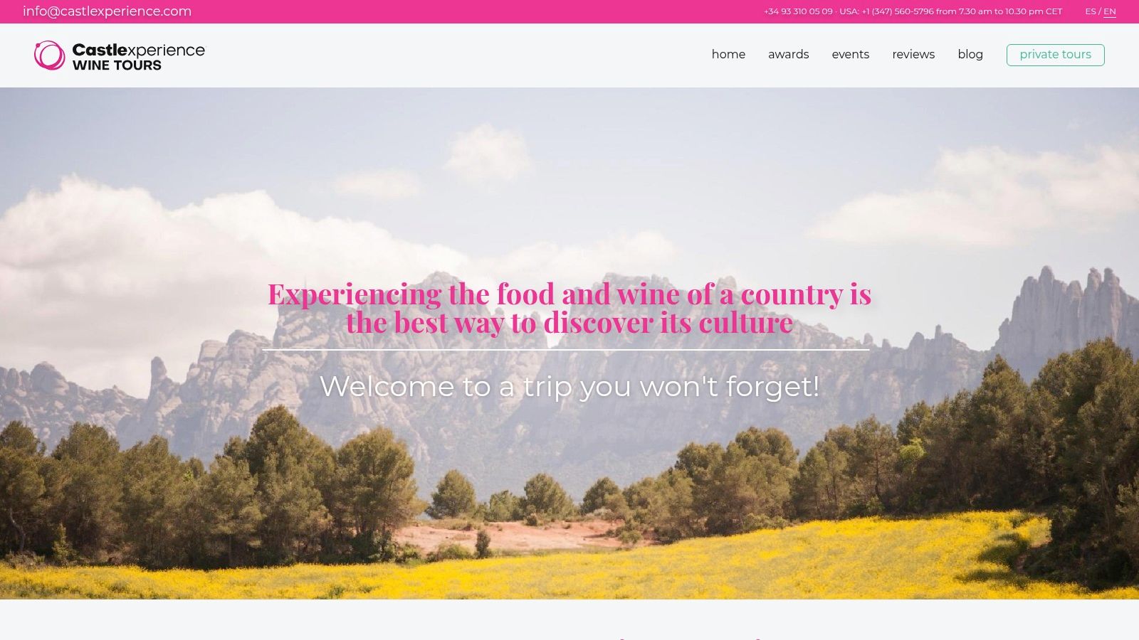 A vineyard in the Penedès region with the Montserrat mountains in the background