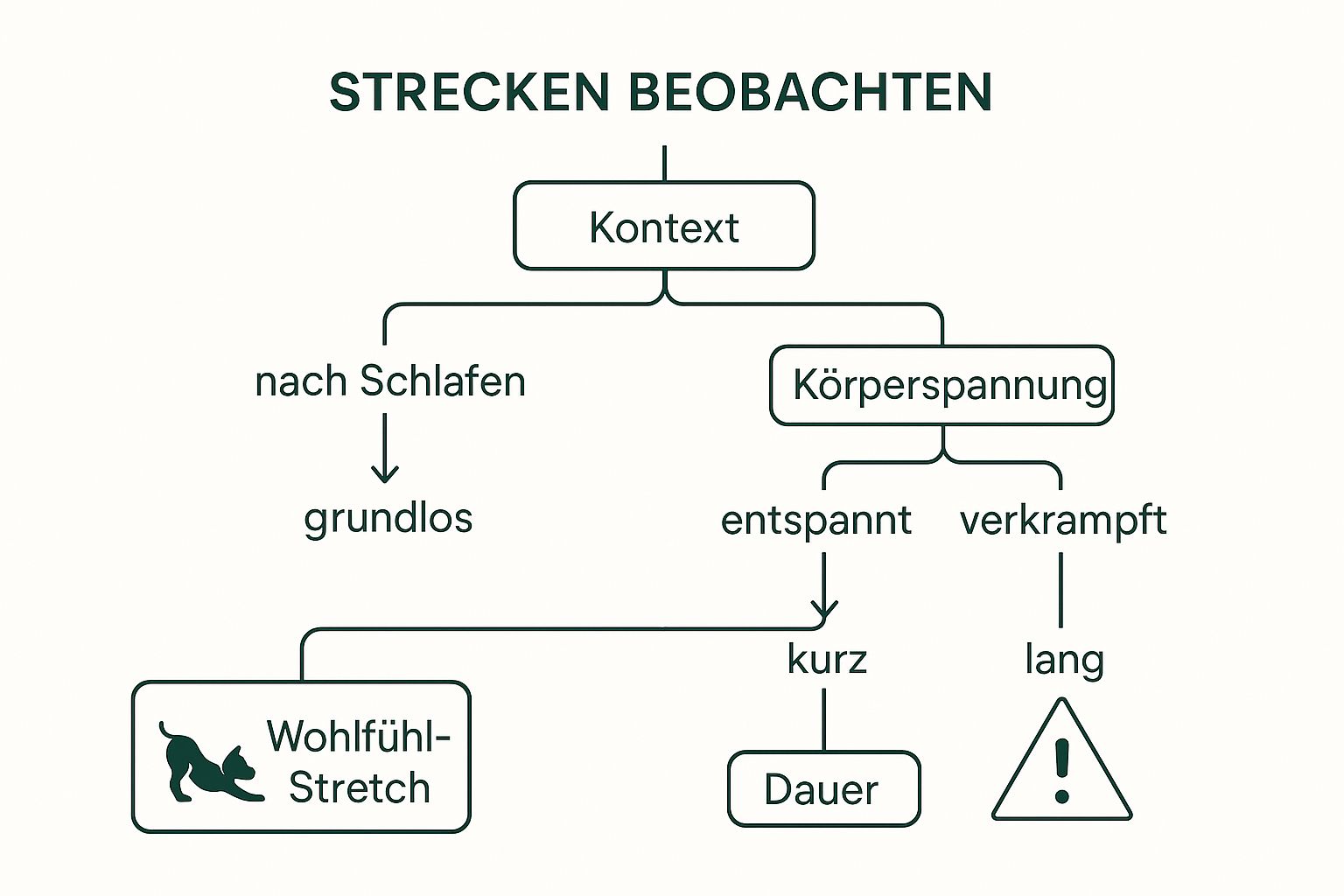Infographic about hund streckt sich oft
