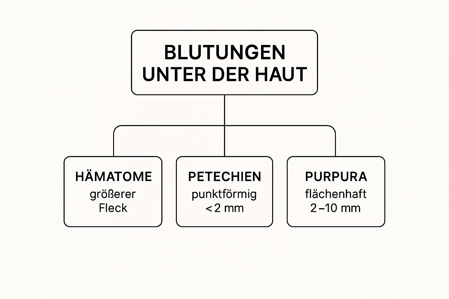 Infographic about blutungen unter der haut