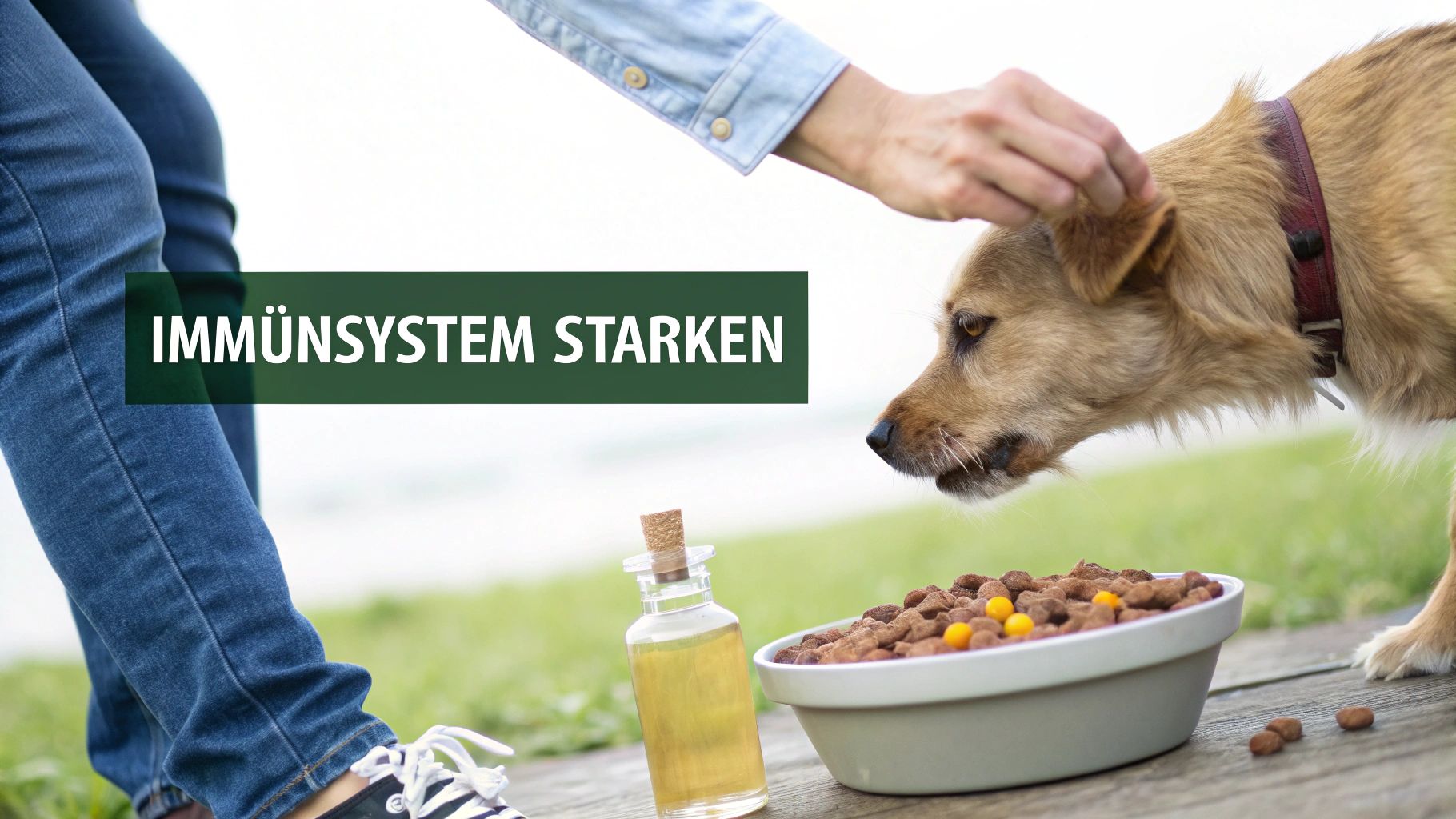 Ein glücklicher Hund rennt durch ein Feld mit bunten Wildblumen