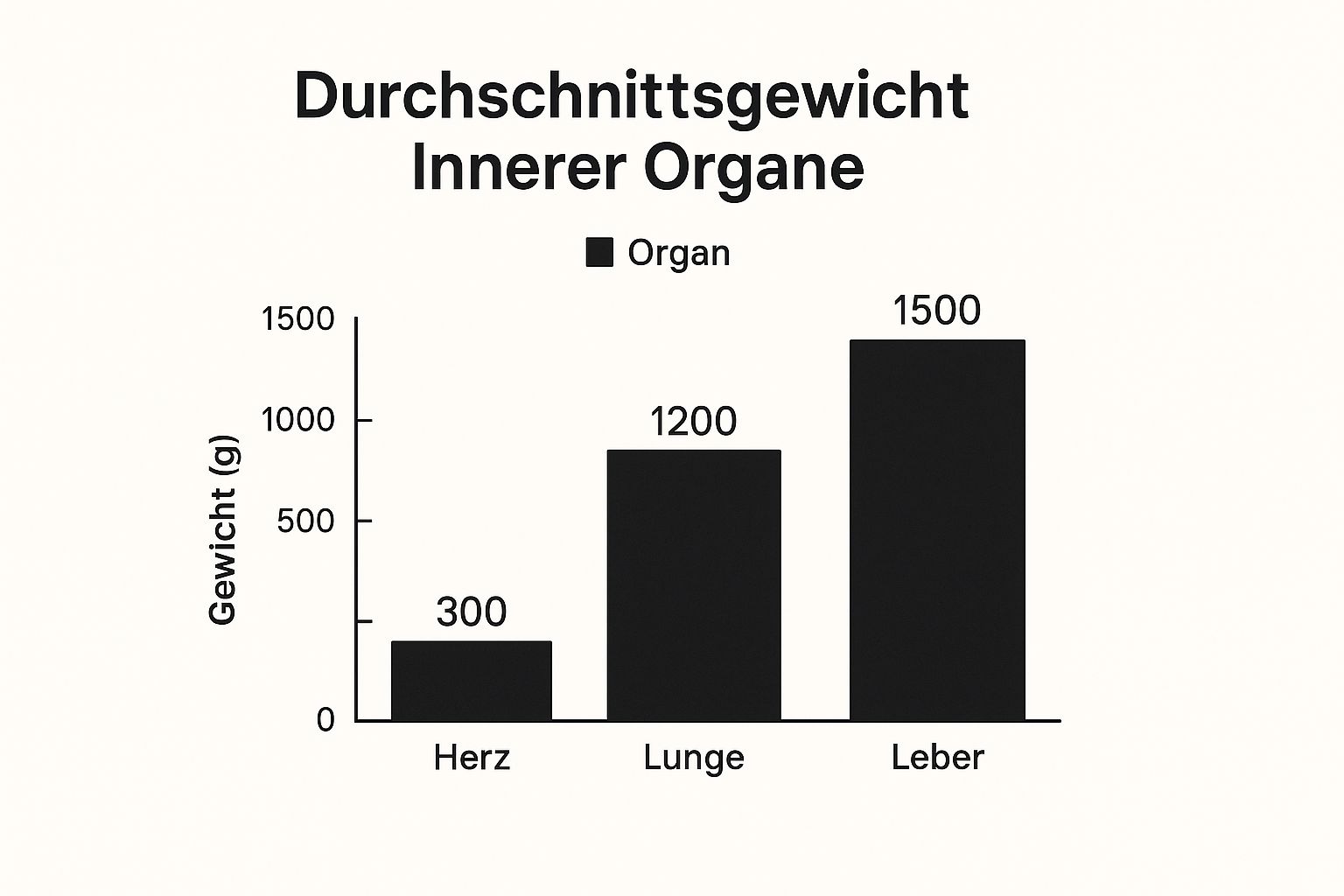 Infographic about anatomie innere organe