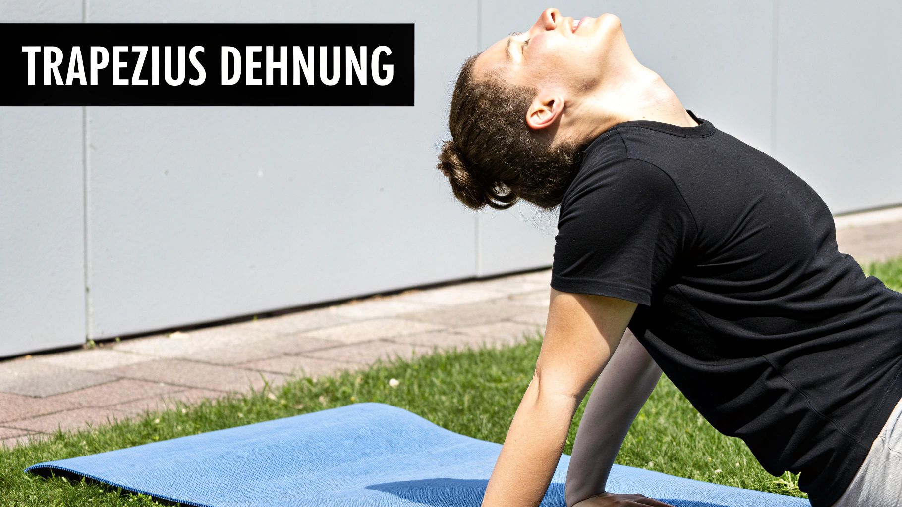 Oberer Trapezius Dehnung (Upper Trapezius Stretch)