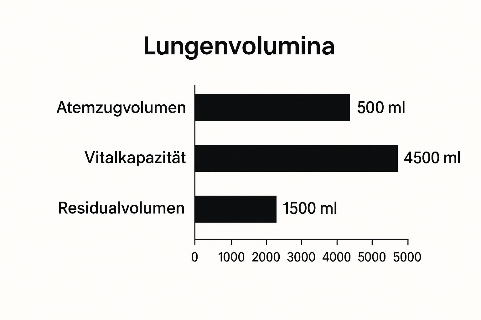 Infographic about atmungssystem einfach erklärt