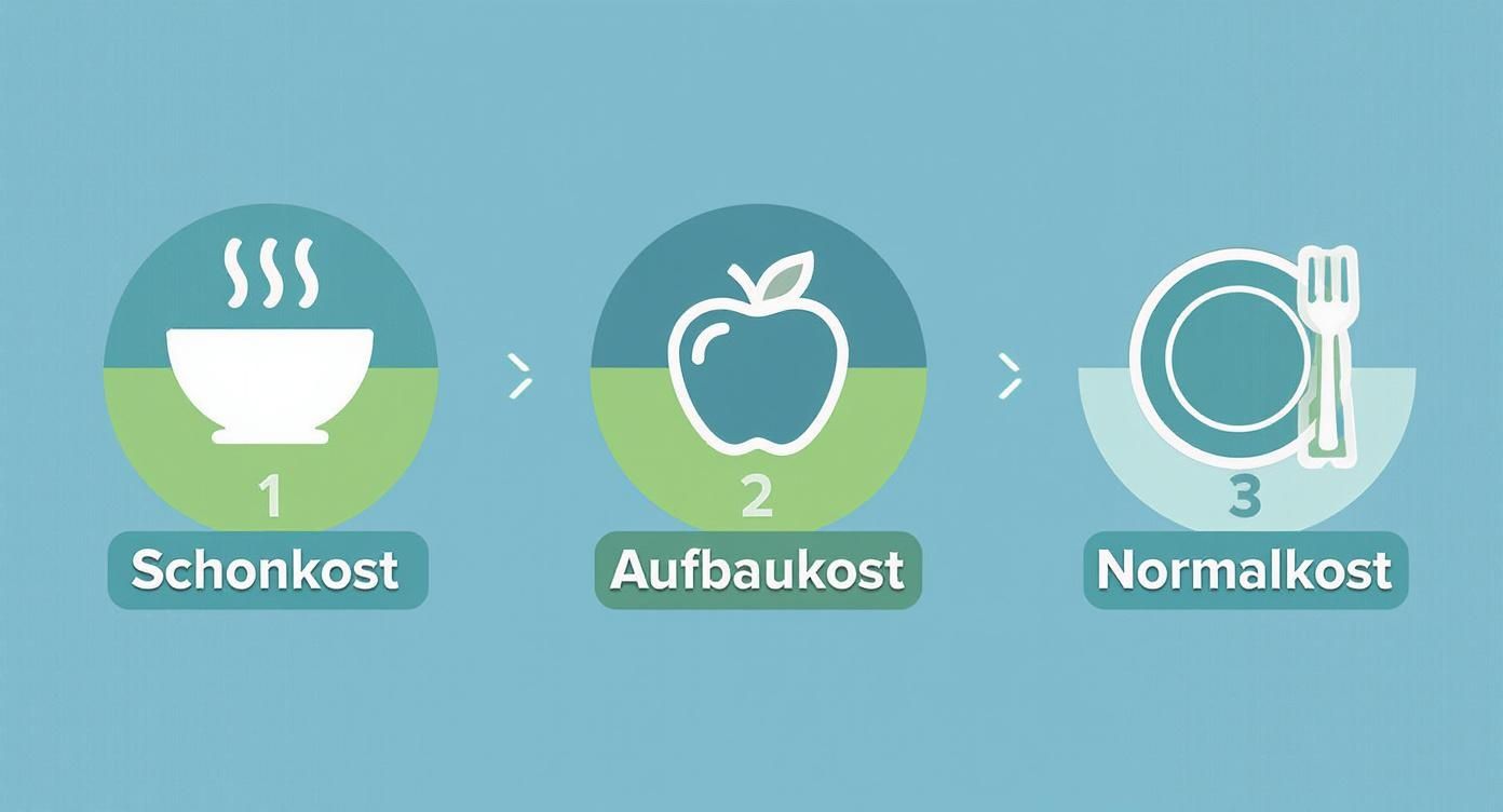 Infografik, die die drei Ernährungsphasen nach einer Gallen-OP zeigt: Schonkost, Aufbaukost und Normalkost.