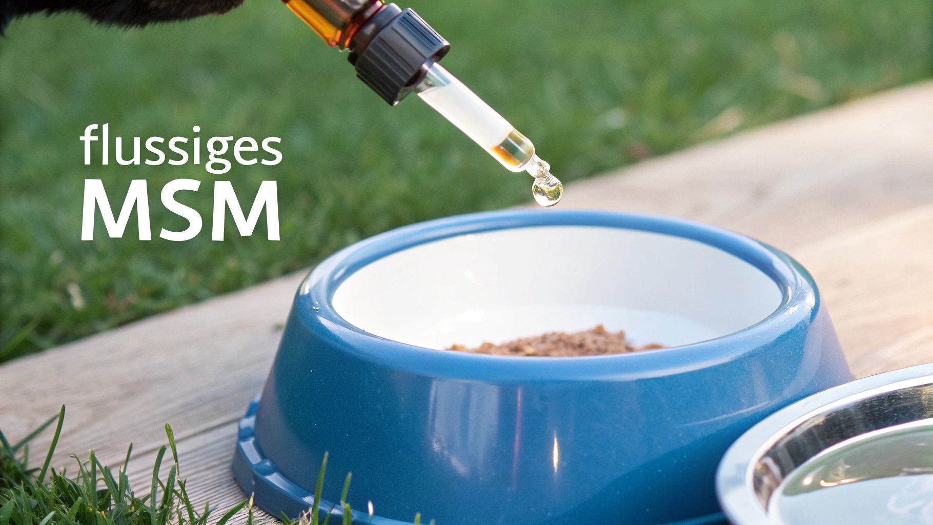 Liquid MSM Formulations for Dogs