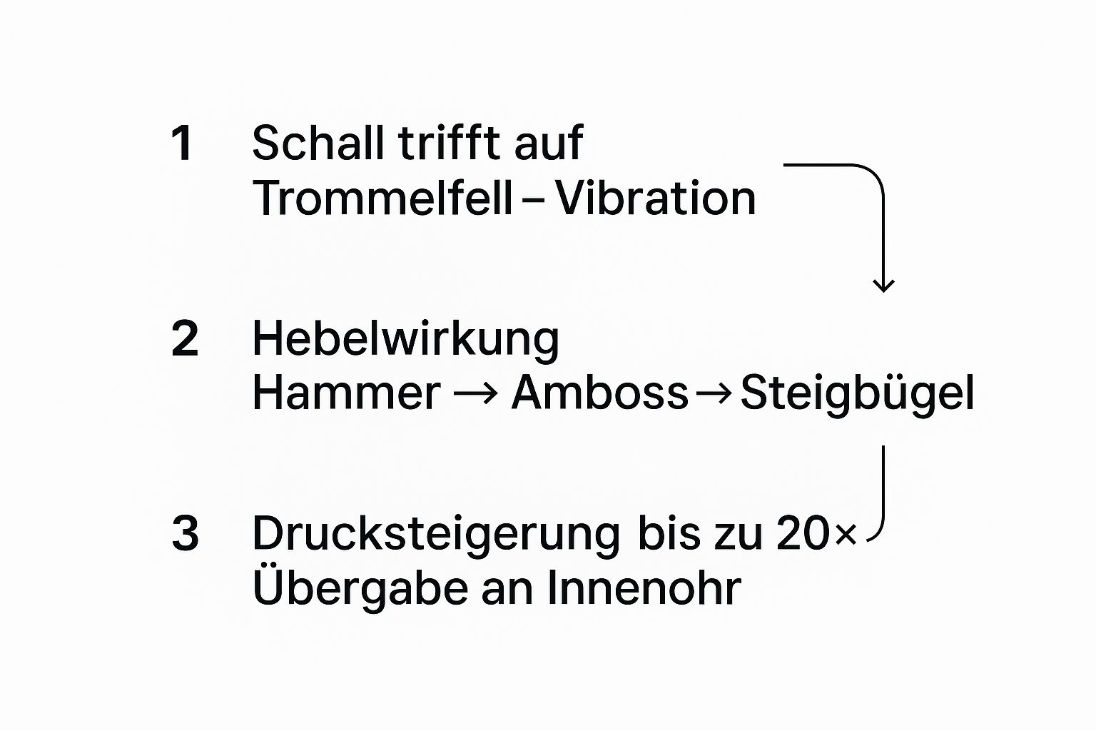 Infografik, die den dreistufigen Prozess der Schallverstärkung im Mittelohr darstellt: Vibration des Trommelfells, Hebelwirkung der Gehörknöchelchen und Drucksteigerung.