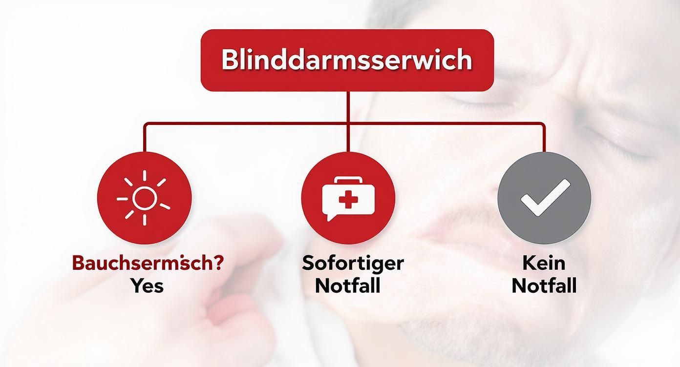 Infographic about was passiert wenn der blinddarm platzt