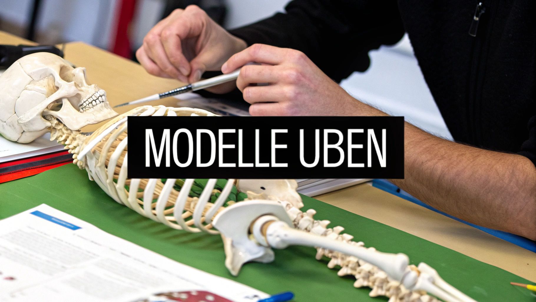 Eine Gruppe von Medizinstudierenden lernt gemeinsam an anatomischen Modellen in einer Bibliothek.