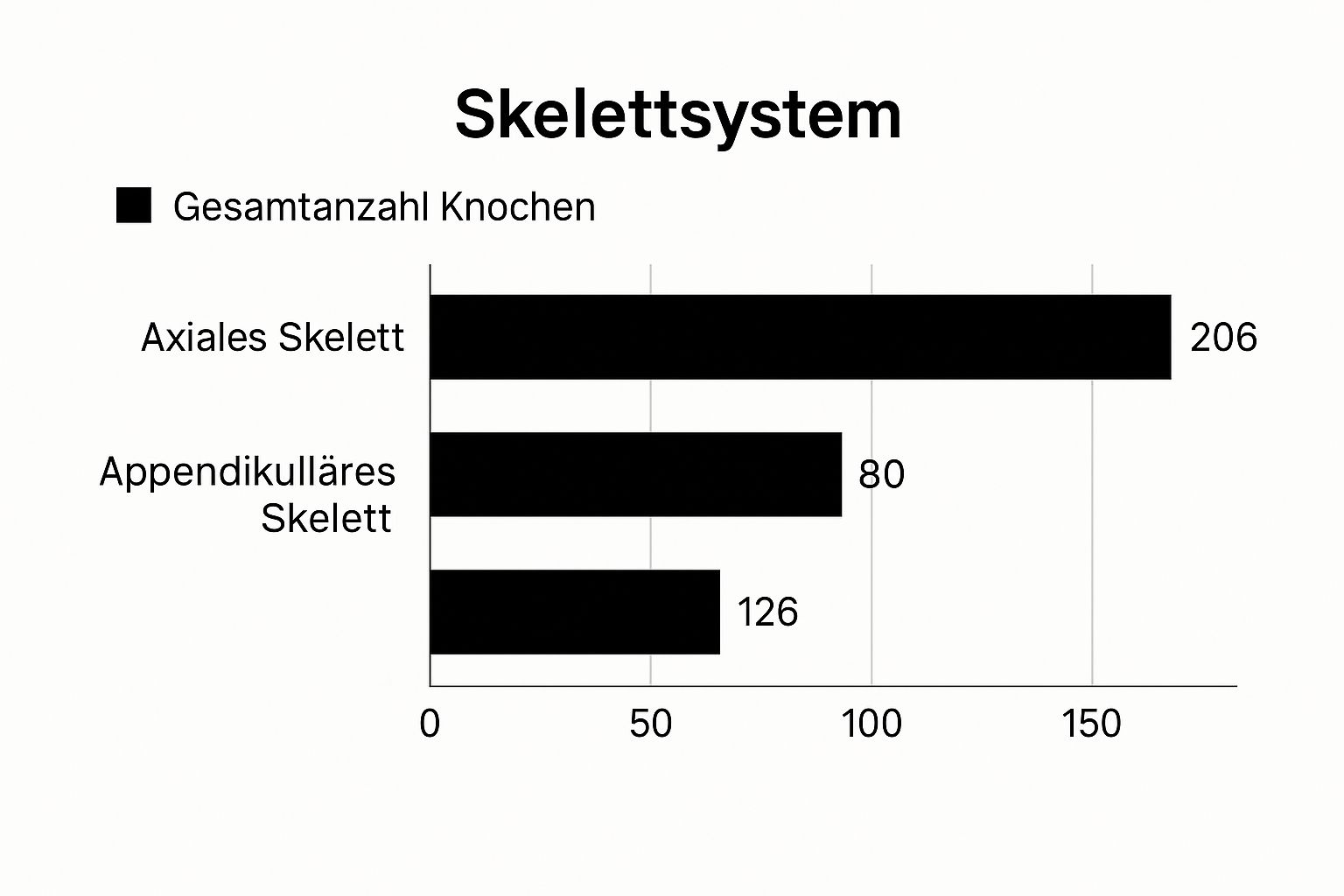 Infographic about menschlicher körper zeichnung