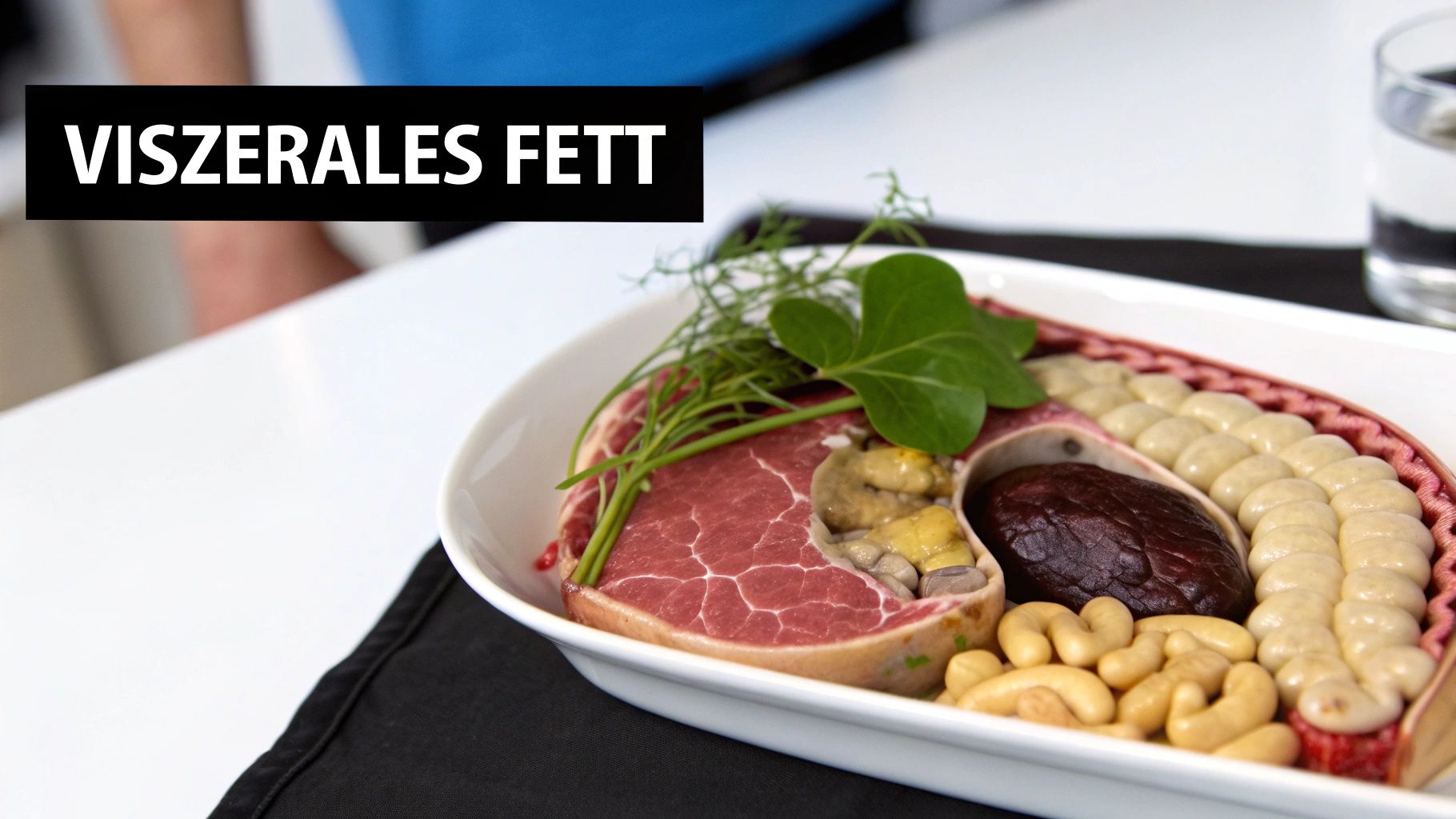 Platte zeigt einen Querschnitt des Torsos, visualisiert viszerales Fett durch verschiedene Lebensmittel wie Steak, Nüsse und Organe.