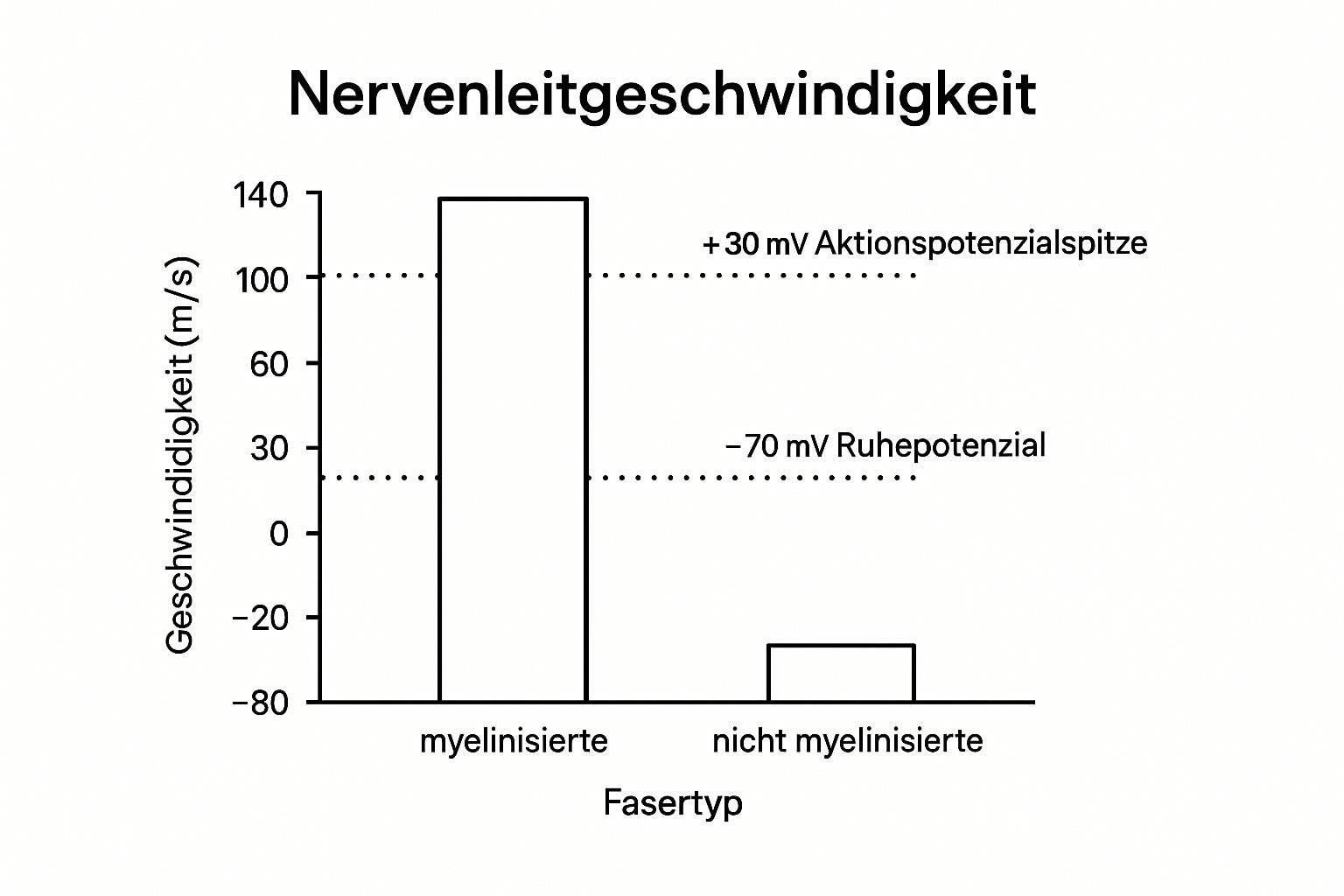 Jenseits der Klinik: Berufswege für Physiologen
